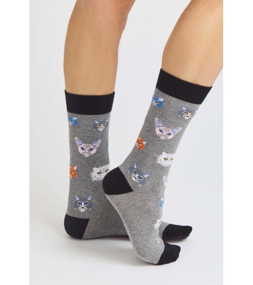 Socks - BeCats - Cats Besocks funny crazy cute cool best pop socks for women men