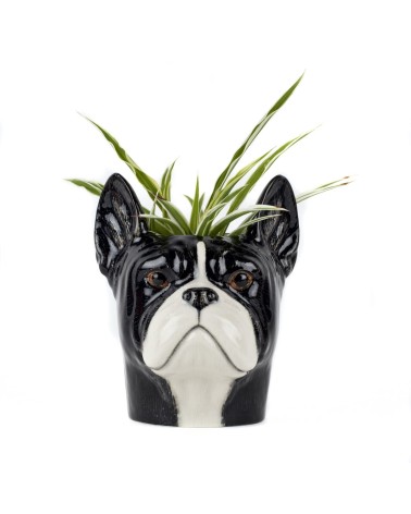 Bouledogue Français - Porte crayon & stylo, Petit pot de fleur Quail Ceramics bureau original design pour plantes intérieur à...