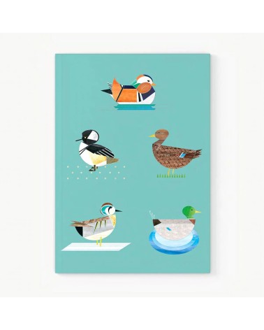 Plätschernde Enten - Notizbuch A5 Ellie Good illustration Papeterie artikel Schreibwaren online schweiz
