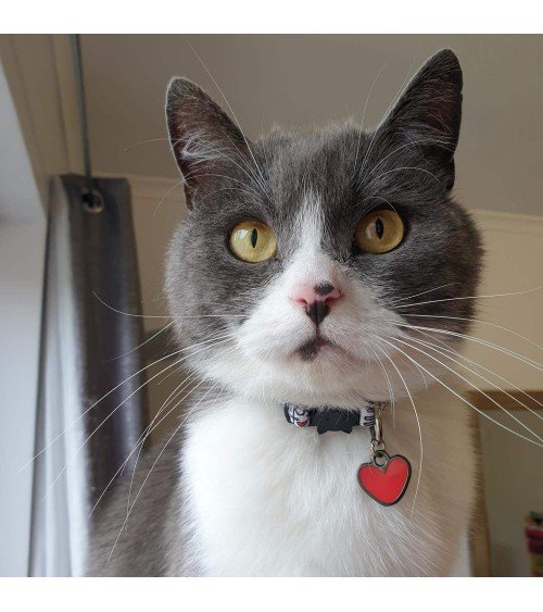 Katzenhalsband - Keith Hairball Niaski geschenkidee schweiz kaufen