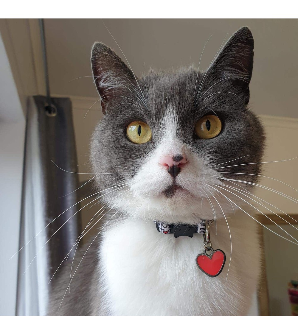 Katzenhalsband - Keith Hairball Niaski geschenkidee schweiz kaufen