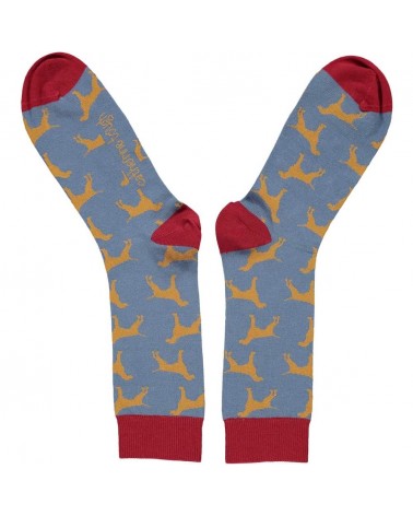 Chiens - Chaussettes en coton bio pour homme Catherine Tough jolies pour femme originales pour homme chausset rigolotes drole...