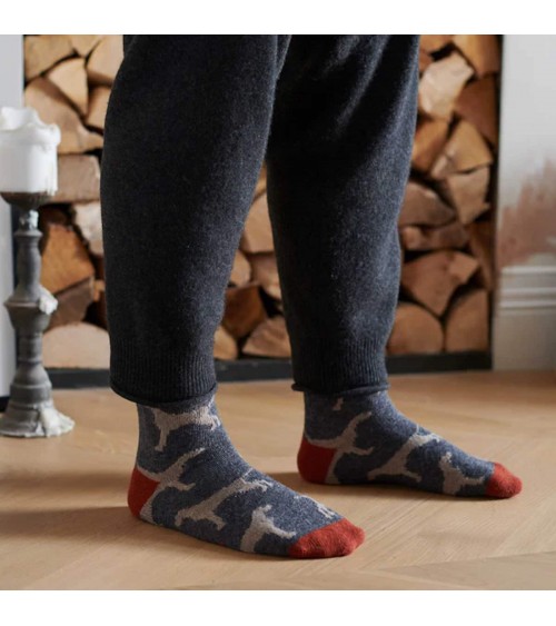 Chiens - Chaussettes en laine pour homme Catherine Tough jolies pour femme originales pour homme chausset rigolotes drole Suisse