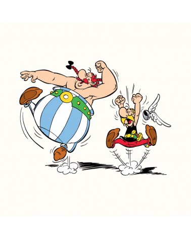 Obelix - Asterix and Obelix fun socks Label Chaussette funny crazy cute cool best pop socks for women men