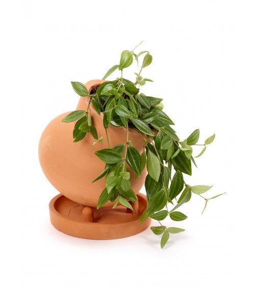 Pot de fleur - Terracotta by René Barba Serax Pots de fleurs design suisse original