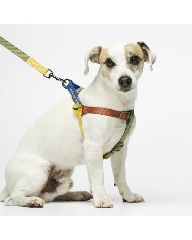 Hundegeschirre - Sonia - Mimose und Moos The Painter's Wife geschenkidee schweiz kaufen