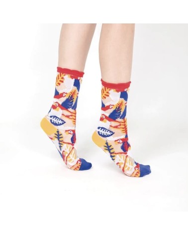 Sheer Socks - Parrot - Red Paperself funny crazy cute cool best pop socks for women men